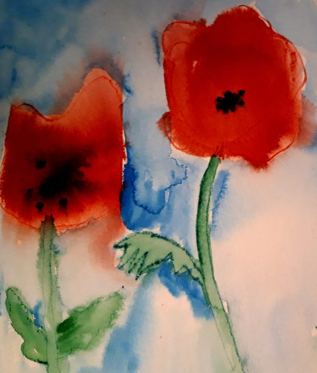 FB_IMG_1737198541867